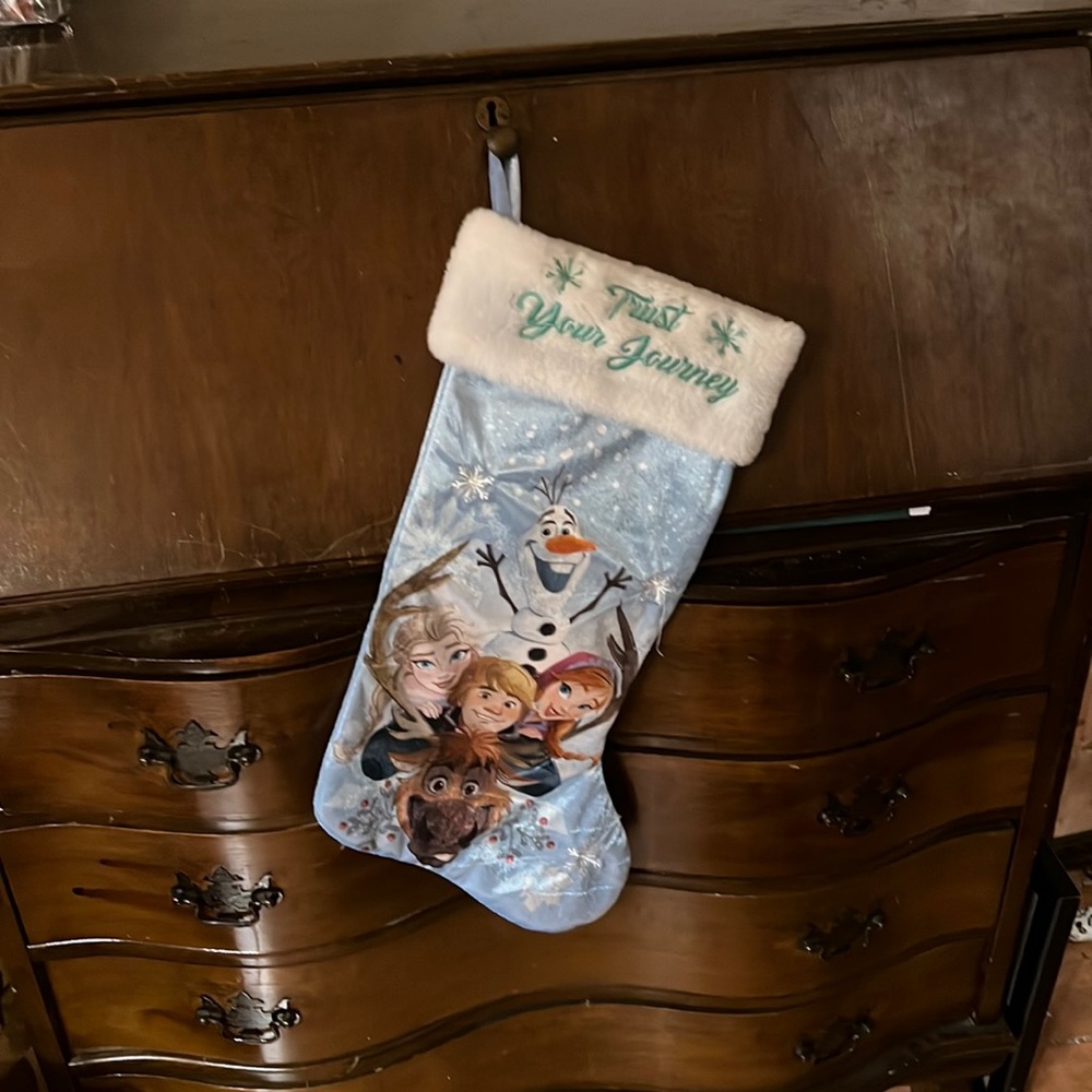 Christmas stocking- frozen